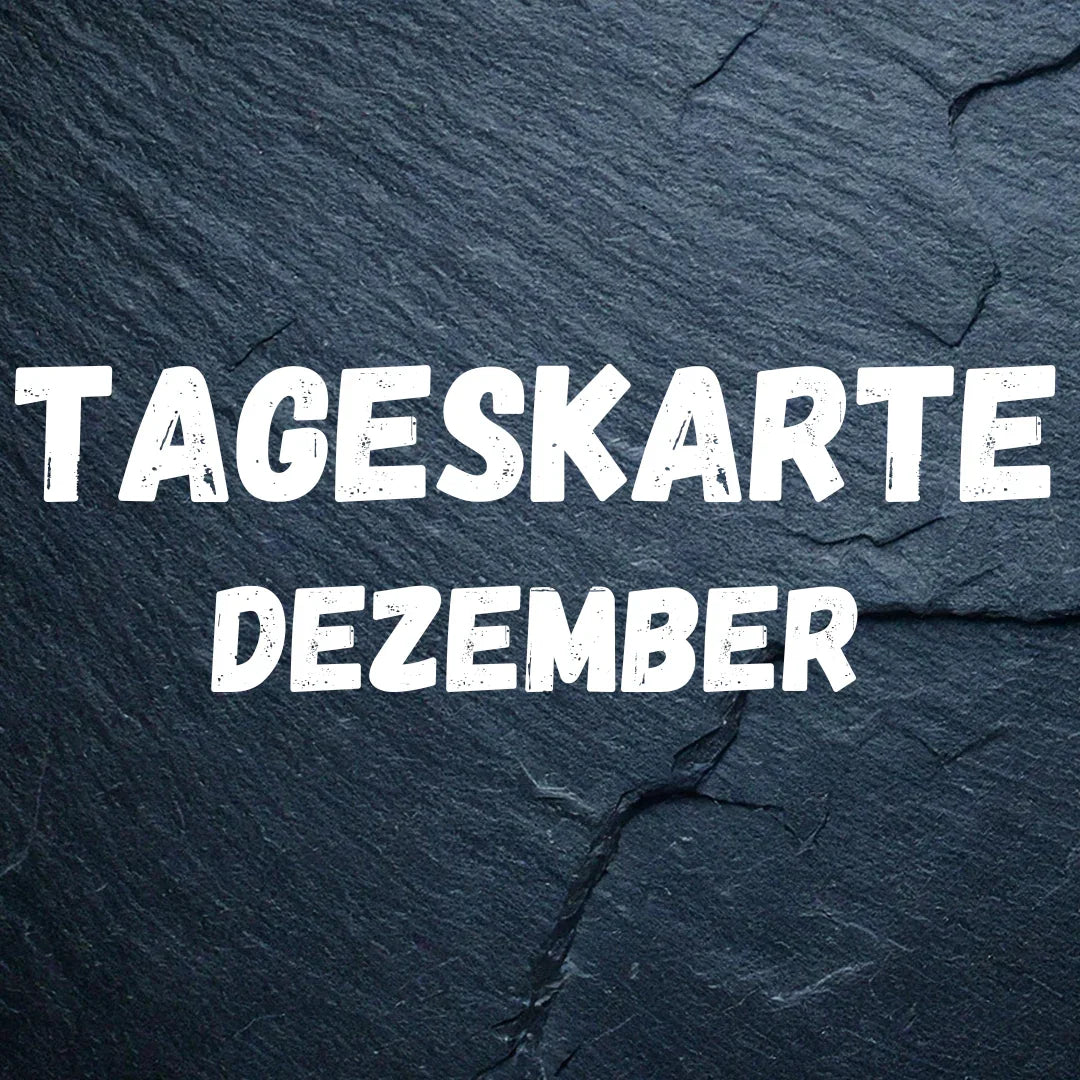day ticket December 2025